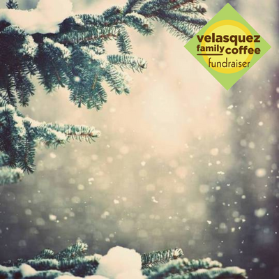 Rich cream flavor with signature notes of vanilla, caramel, and dark chocolate has all the warmth you’ll need during those frosty winter nights; image of snow falling on pine branches